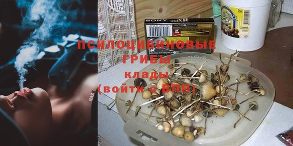 мяу мяу мука Балабаново